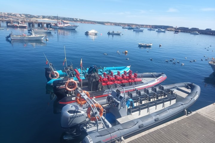 Motorboats docked on a calm sea with seagulls and distant land in view.