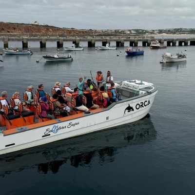 A group of people on a motorboat wearing orange life vests near a pier with moored boats.
