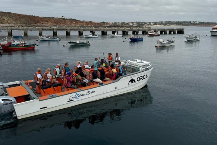 A group of people on a motorboat wearing orange life vests near a pier with moored boats.