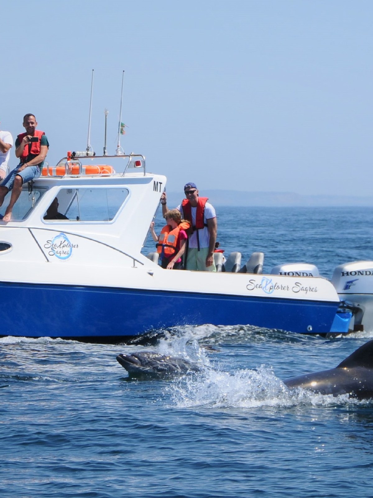 People on a boat observing dolphins swimming in the ocean.