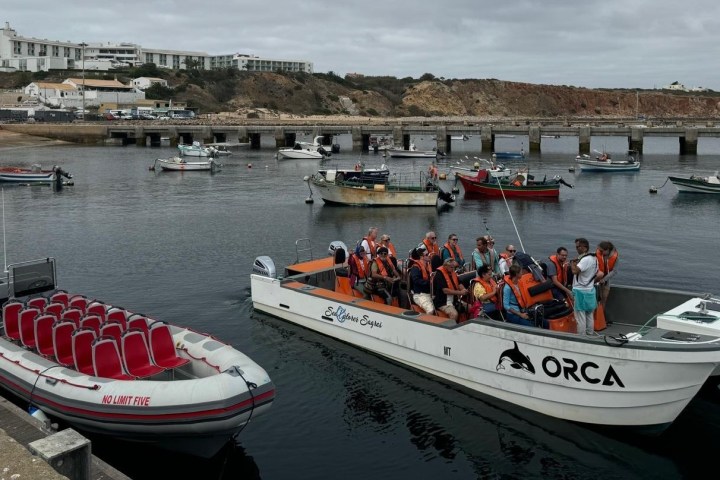Tour boat with passengers in life jackets near dock, surrounded by small boats and buildings in the background.