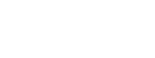 Cape Cruiser logo with dolphin, bird, fish icons; Sagres - Portugal